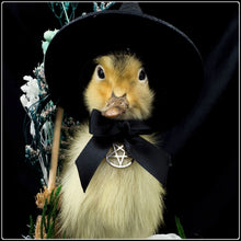 Load image into Gallery viewer, Witch Duckling - ‘Clarice’
