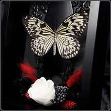 Load image into Gallery viewer, Linnaeus’ idea Butterfly with Coffin and Botanicals
