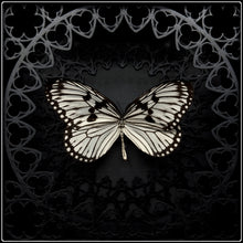 Load image into Gallery viewer, Idea Idea Sanctum Frame
