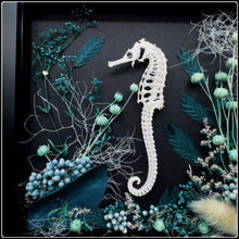 Load image into Gallery viewer, Seahorse Skeleton with Botanicals
