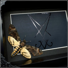 Load image into Gallery viewer, Acherontia styx Lucifer Sigil Frame
