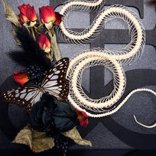 Load image into Gallery viewer, Rolling Viper Skeleton Leviathan Cross Frame
