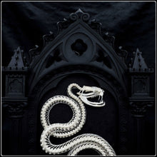 Load image into Gallery viewer, Viper Skeleton on Cathedral Frame
