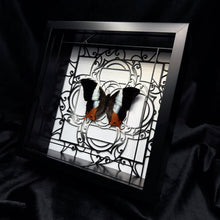 Load image into Gallery viewer, Palla Violinitens Shadow Box Frame
