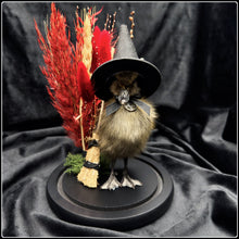 Load image into Gallery viewer, Witch Duckling - ‘Esme’
