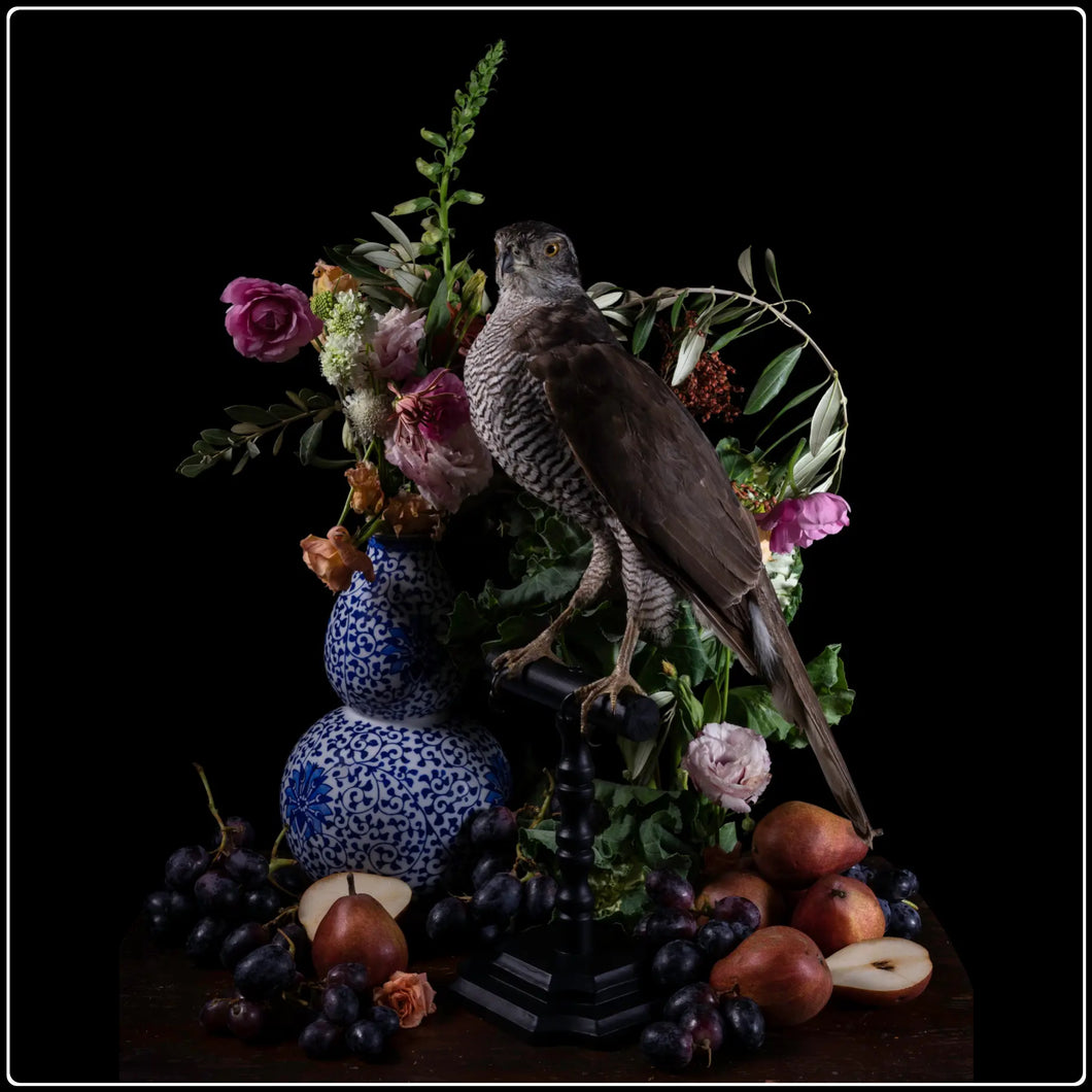 ‘Immortalis’ - Limited Edition Fine Art Photographic Print