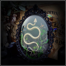 Load image into Gallery viewer, Snake Skeleton, Bees and Bugs in Antique Frame
