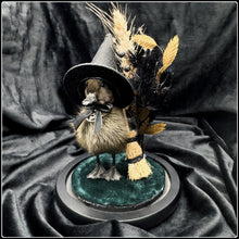 Load image into Gallery viewer, Witch Duckling - ‘Zelah’
