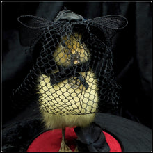 Load image into Gallery viewer, Victorian Mourning Duckling - ‘Ms Eliza Broadstreet’
