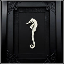 Load image into Gallery viewer, Seahorse Skeleton Frame
