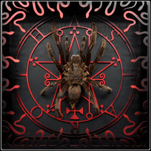 Load image into Gallery viewer, Haplopelma minax Astaroth Sigil Frame
