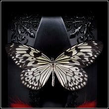 Load image into Gallery viewer, Linnaeus’ idea Butterfly with Coffin and Botanicals
