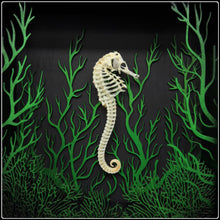 Load image into Gallery viewer, Seahorse Sea Bloom Frame
