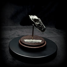 Load image into Gallery viewer, Hammer-Headed Bat Skull With Base - White Bronze
