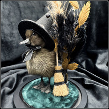 Load image into Gallery viewer, Witch Duckling - ‘Zelah’
