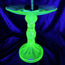 Load image into Gallery viewer, Javanimetrus cyaneus in Uranium Glass Display
