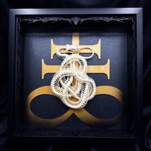 Load image into Gallery viewer, Knotted Viper Skeleton Shadow Box Frame
