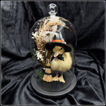 Load image into Gallery viewer, Witch Duckling - ‘Hazel’
