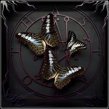 Load image into Gallery viewer, Parthenos Sylvia Astaroth Sigil Frame
