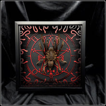 Load image into Gallery viewer, Haplopelma minax Astaroth Sigil Frame
