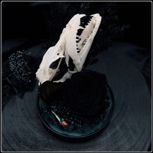Load image into Gallery viewer, Largehead Hairtail Fish Skull, Black Rose, Butterfly Wing &amp; Beetle
