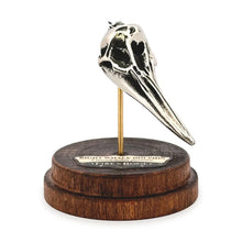 Load image into Gallery viewer, Right Whale Dolphin Pendant - White Bronze
