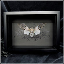 Load image into Gallery viewer, Antique Series - Ghost Cicada &amp; Lunar Plaque
