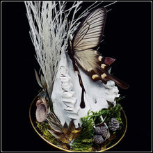 Load image into Gallery viewer, Byasa alcinous Butterfly, Goat Jaw and Botanicals
