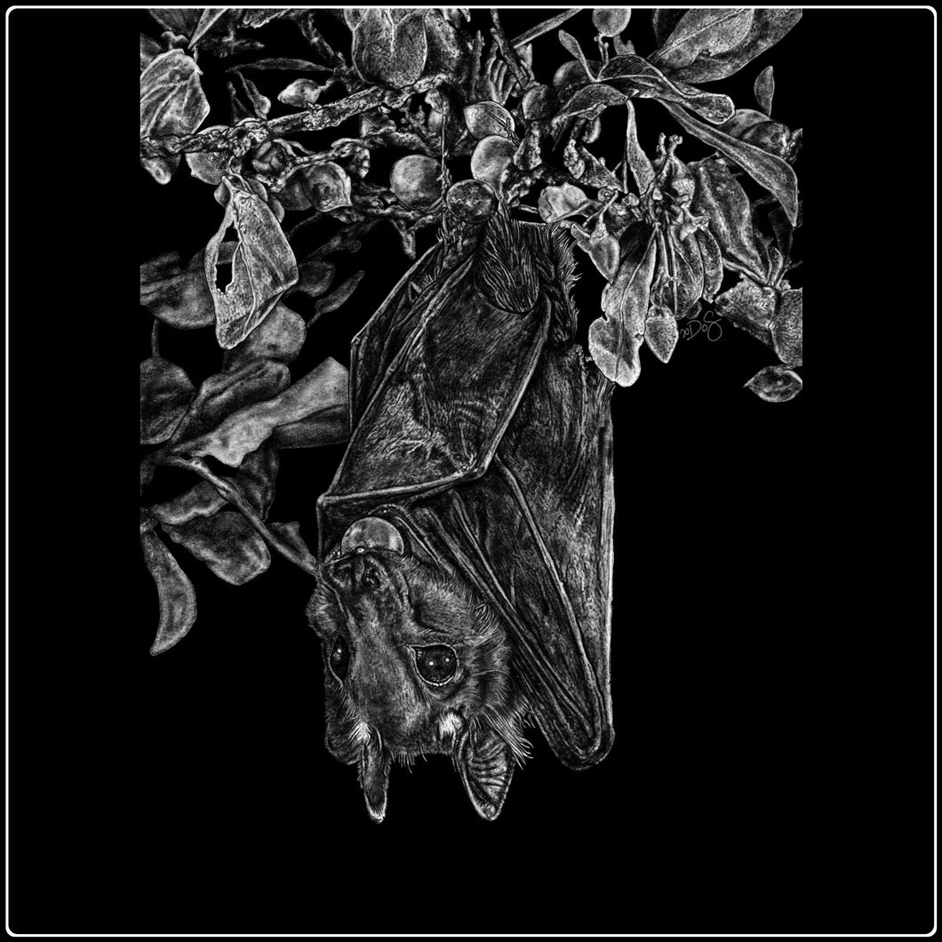 Fruit Bat Length Fruit Bat Length