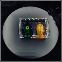 Load image into Gallery viewer, Beetle Duo in Resin
