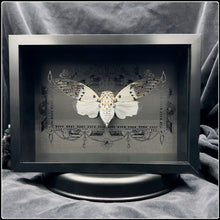 Load image into Gallery viewer, Antique Series - Ghost Cicada with Medieval Border
