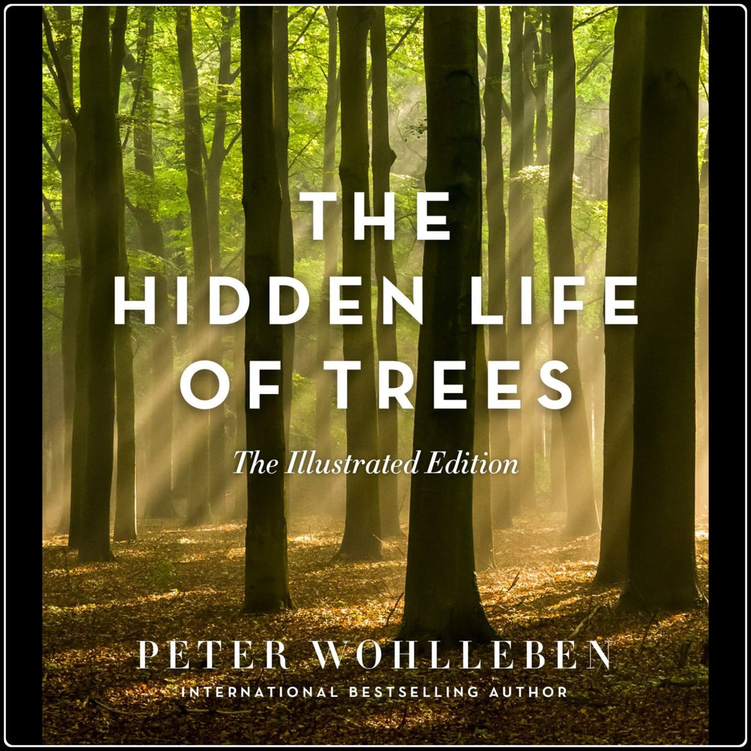 Hidden Life Of Trees, The - #intotheblack#