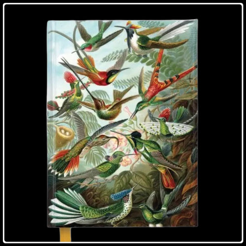 Hummingbirds Journal - #intotheblack#