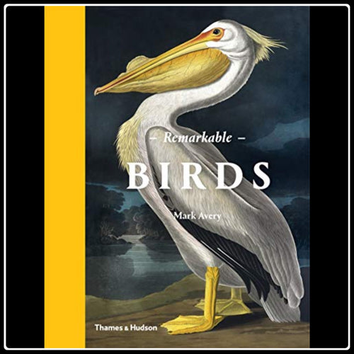 Remarkable Birds: The Beauty And Wonder Of The Avian World - #intotheblack#