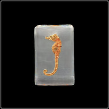 Load image into Gallery viewer, Seahorse In Resin - #intotheblack#
