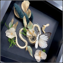 Load image into Gallery viewer, Snake Skeleton &amp; Butterfly - Shades of Green - #intotheblack#
