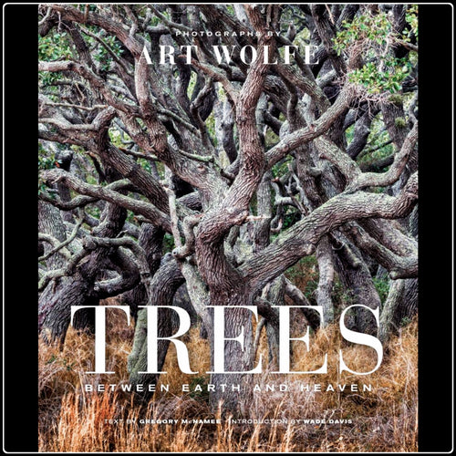 Trees - Gift Edition - #intotheblack#